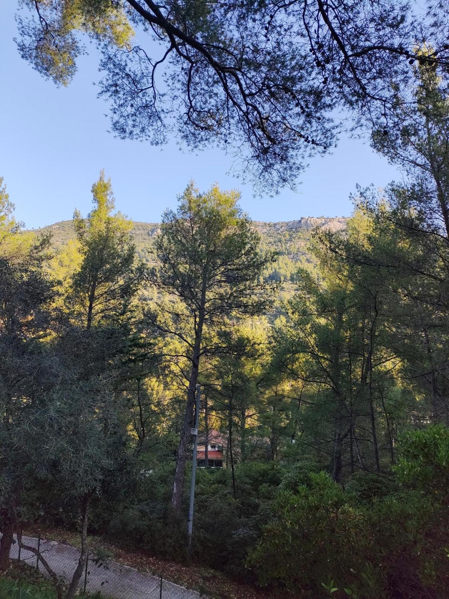 Maisonnette-Studio Toulon 83200 Kültér fotó